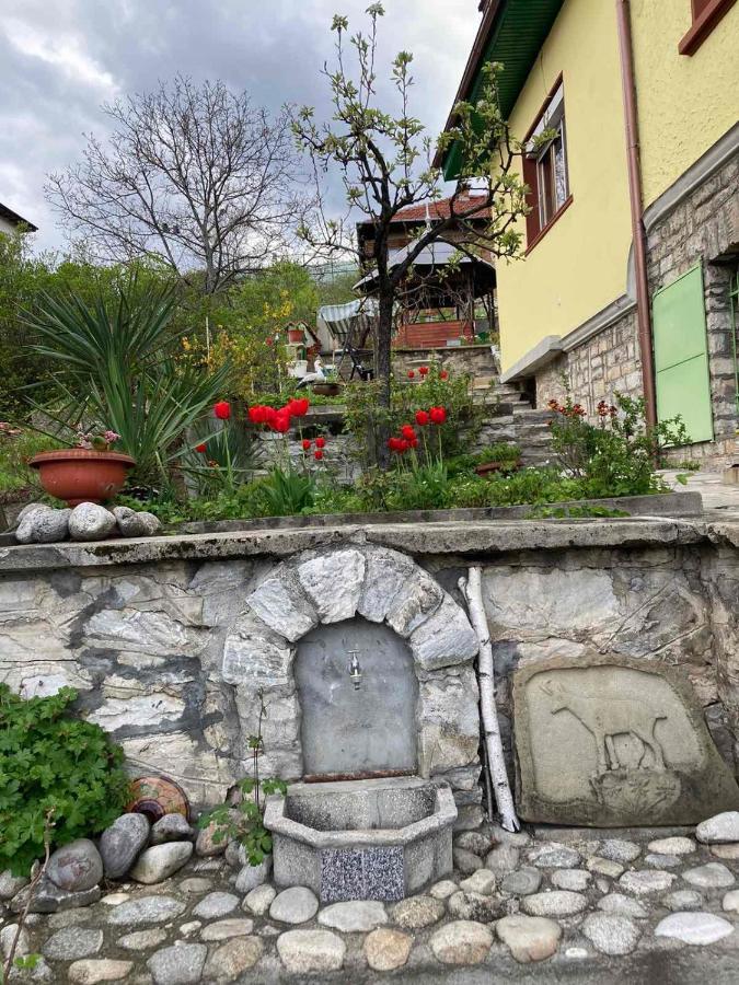 Vila Venera Velingrad Kültér fotó